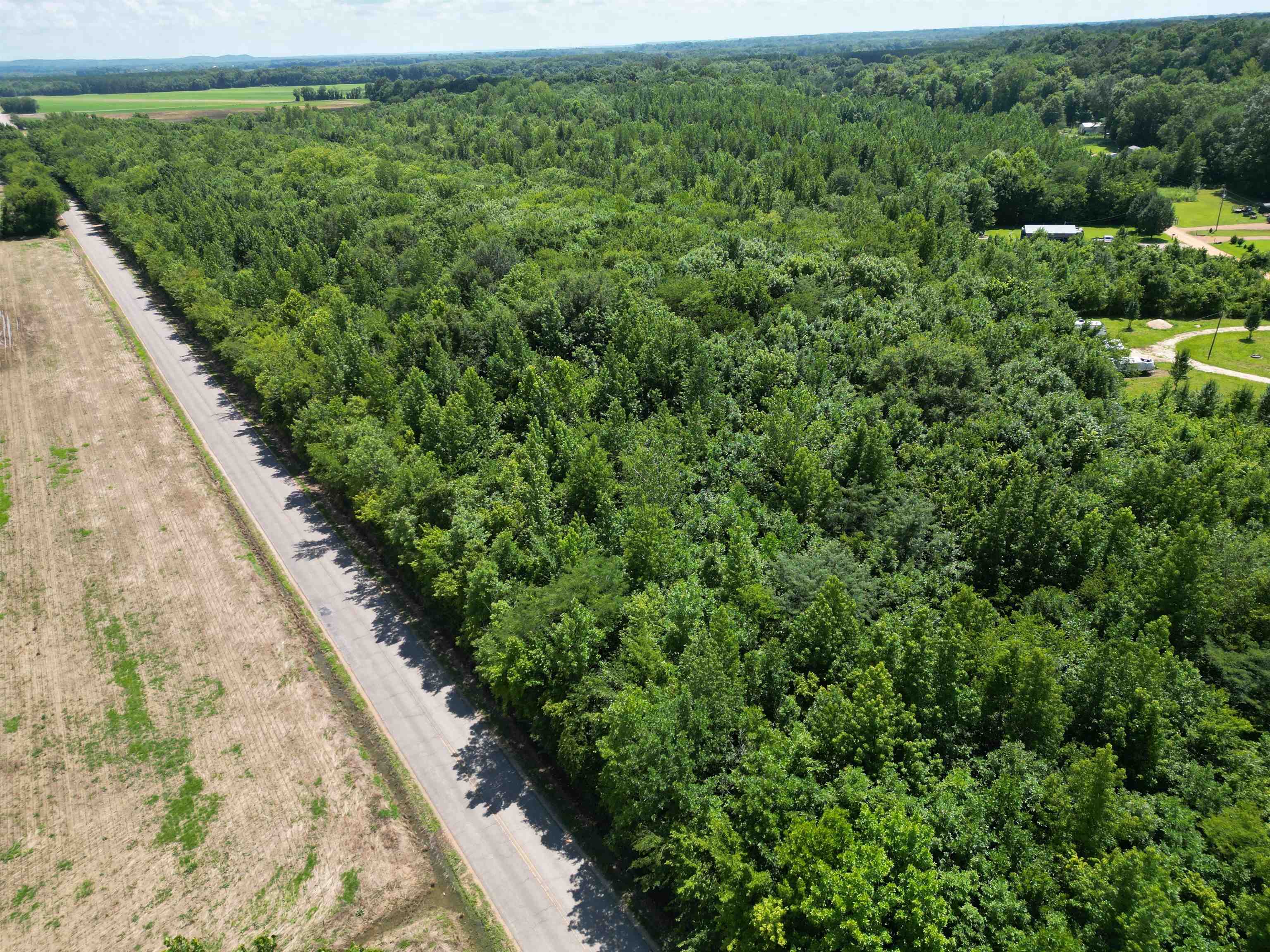 3 Coffee Landing Road Savannah, TN 38372 - Photo 12 of 14 View of property location with rural landscape and a forest