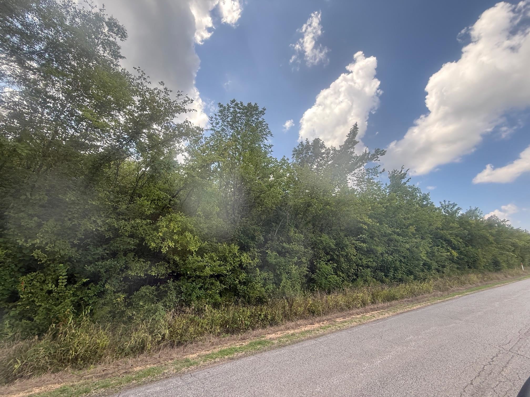 3 Coffee Landing Road Savannah, TN 38372 - Photo 4 of 14 View of asphalt street featuring a forest view