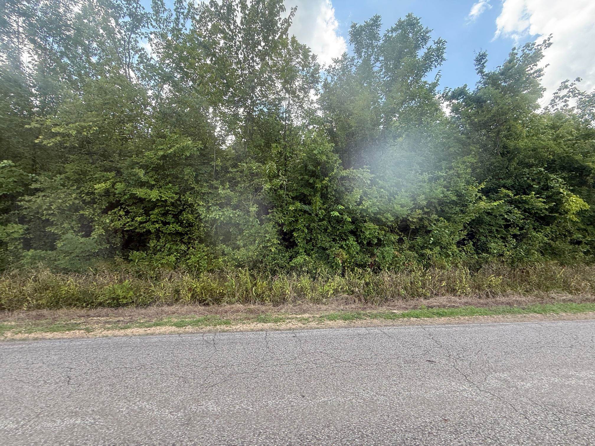 3 Coffee Landing Road Savannah, TN 38372 - Photo 5 of 14 View of asphalt road