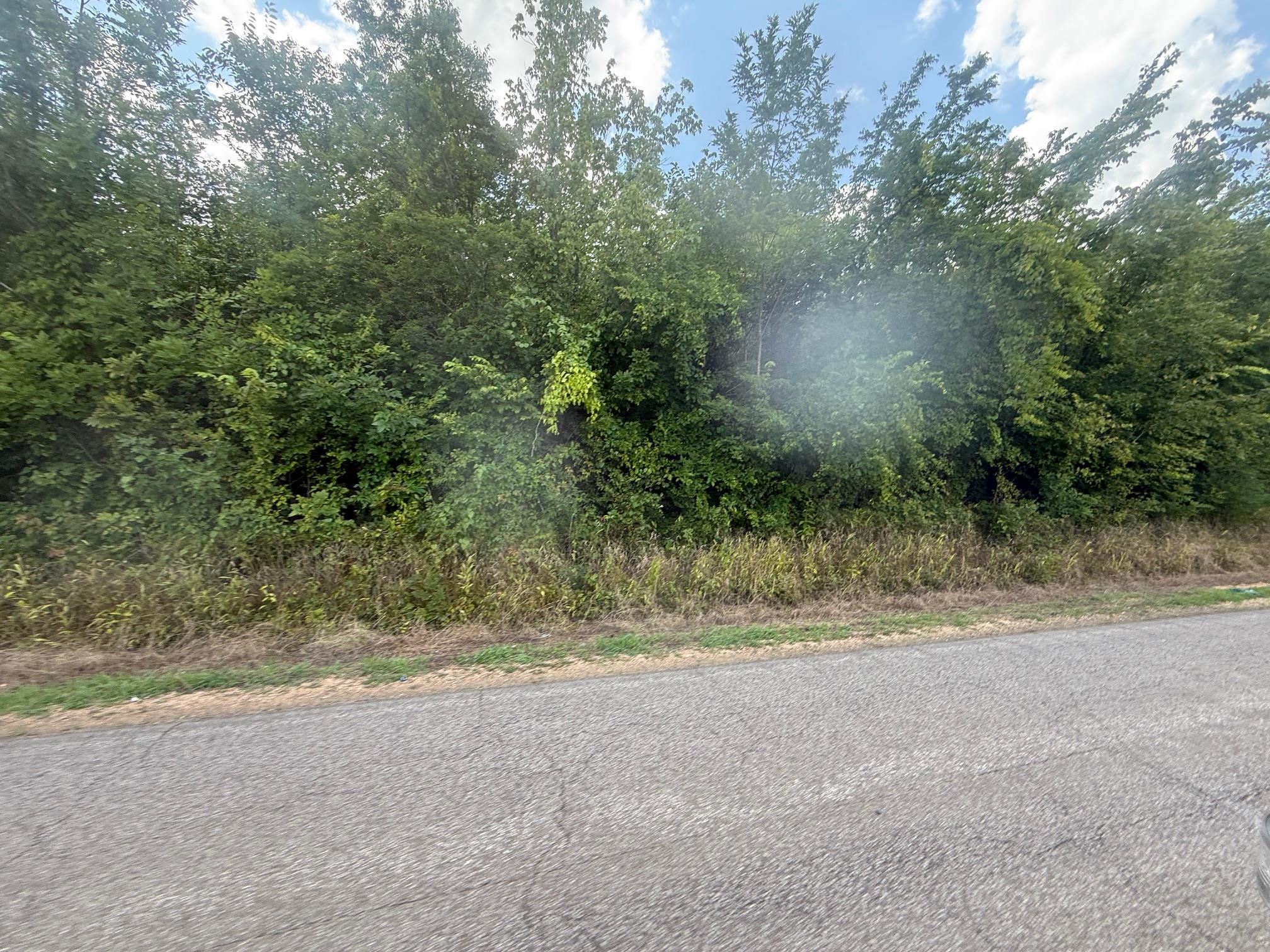 3 Coffee Landing Road Savannah, TN 38372 - Photo 7 of 14 View of asphalt street