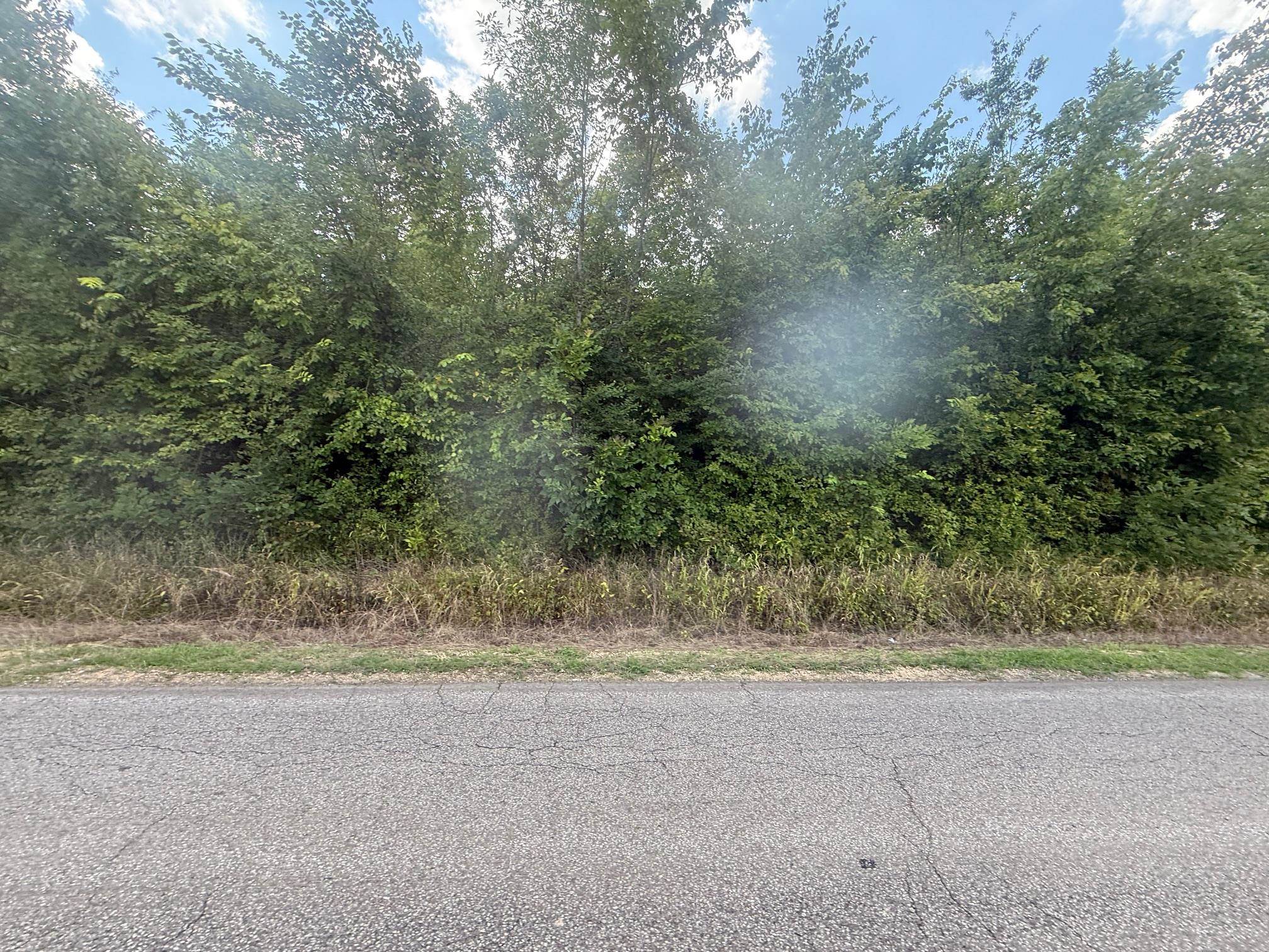 3 Coffee Landing Road Savannah, TN 38372 - Photo 8 of 14 View of asphalt street