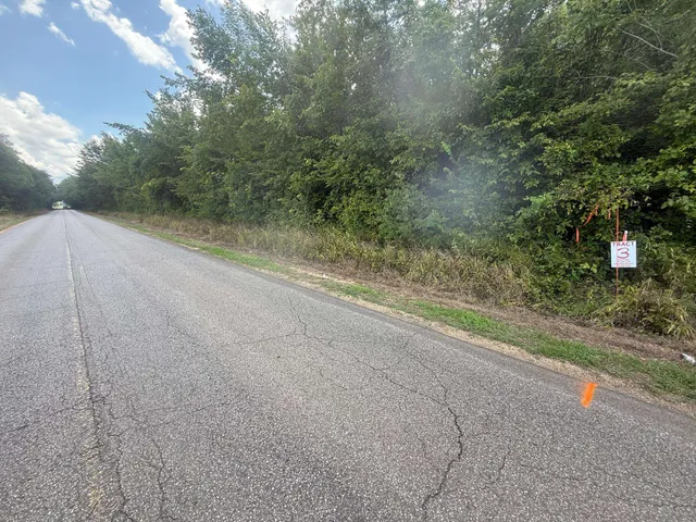 a view of a yard with a tree