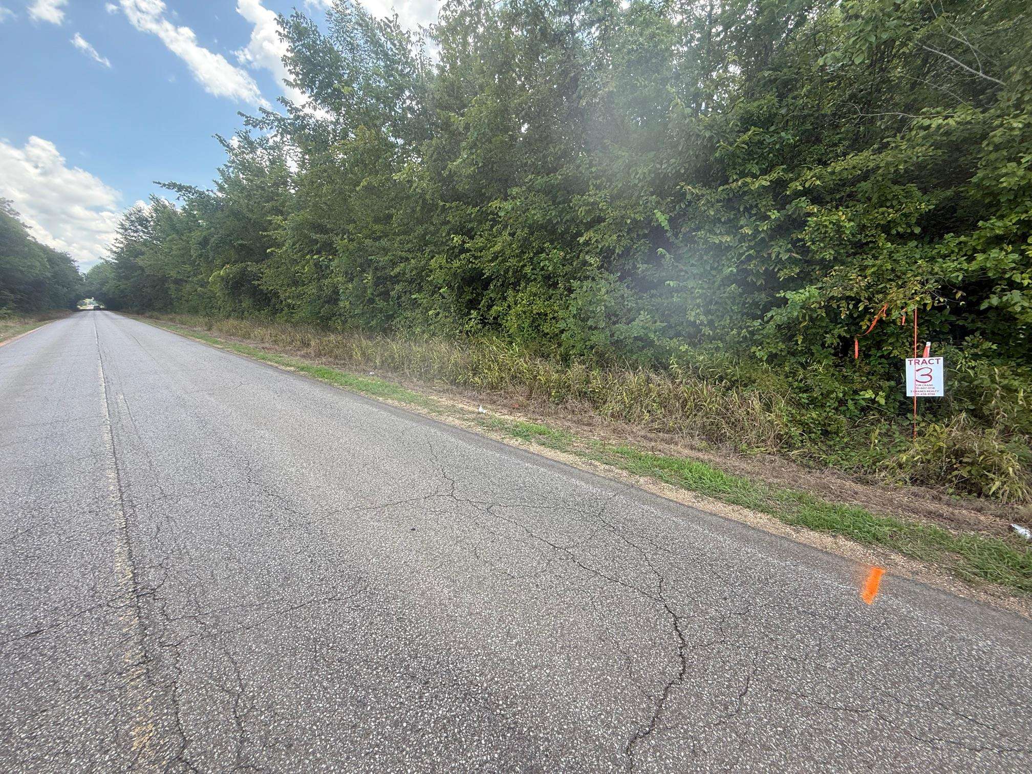 3 Coffee Landing Road Savannah, TN 38372 - Photo 9 of 14 View of asphalt road