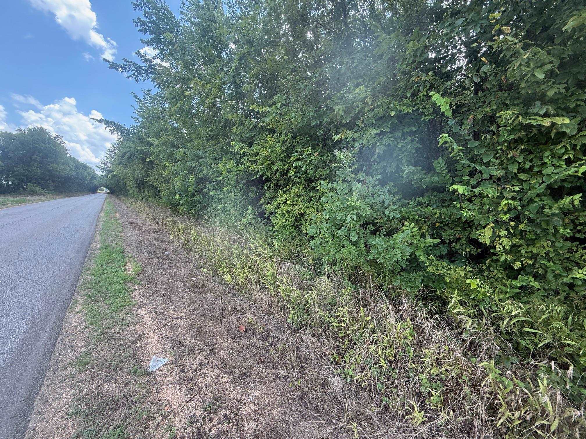 3 Coffee Landing Road Savannah, TN 38372 - Photo 10 of 14 View of asphalt street