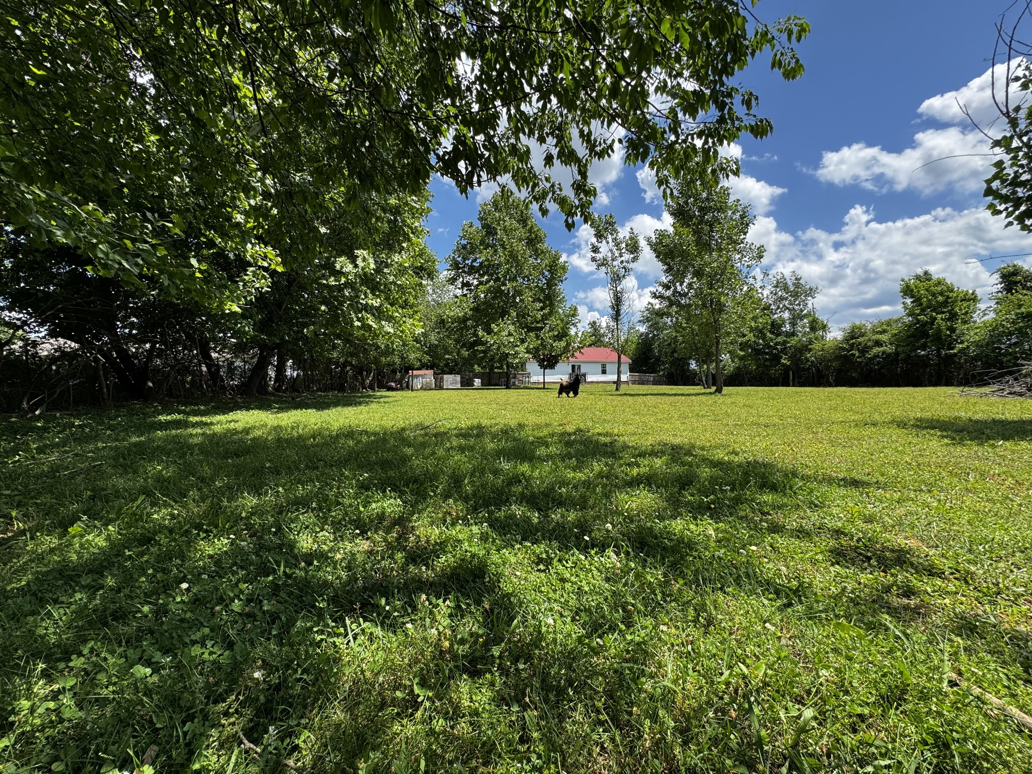 603 Canaan Road Columbia, TN 38401 - Photo 20 of 22 Gallery Image 20