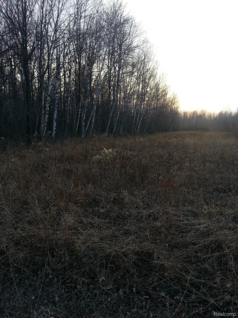 236 Stone Road Deckerville, MI 48427 - Photo 19 of 32 20150412_191632.jpg