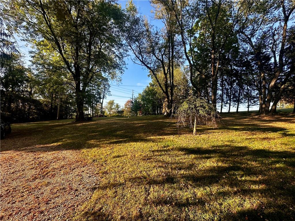 4 Wabash Avenue Hickory, PA 15340 - Photo 5 of 19 a view of dirt yard with green space