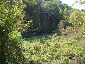 9 acres of land