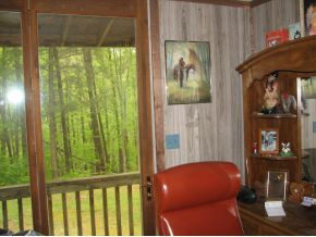 with view of wildlife