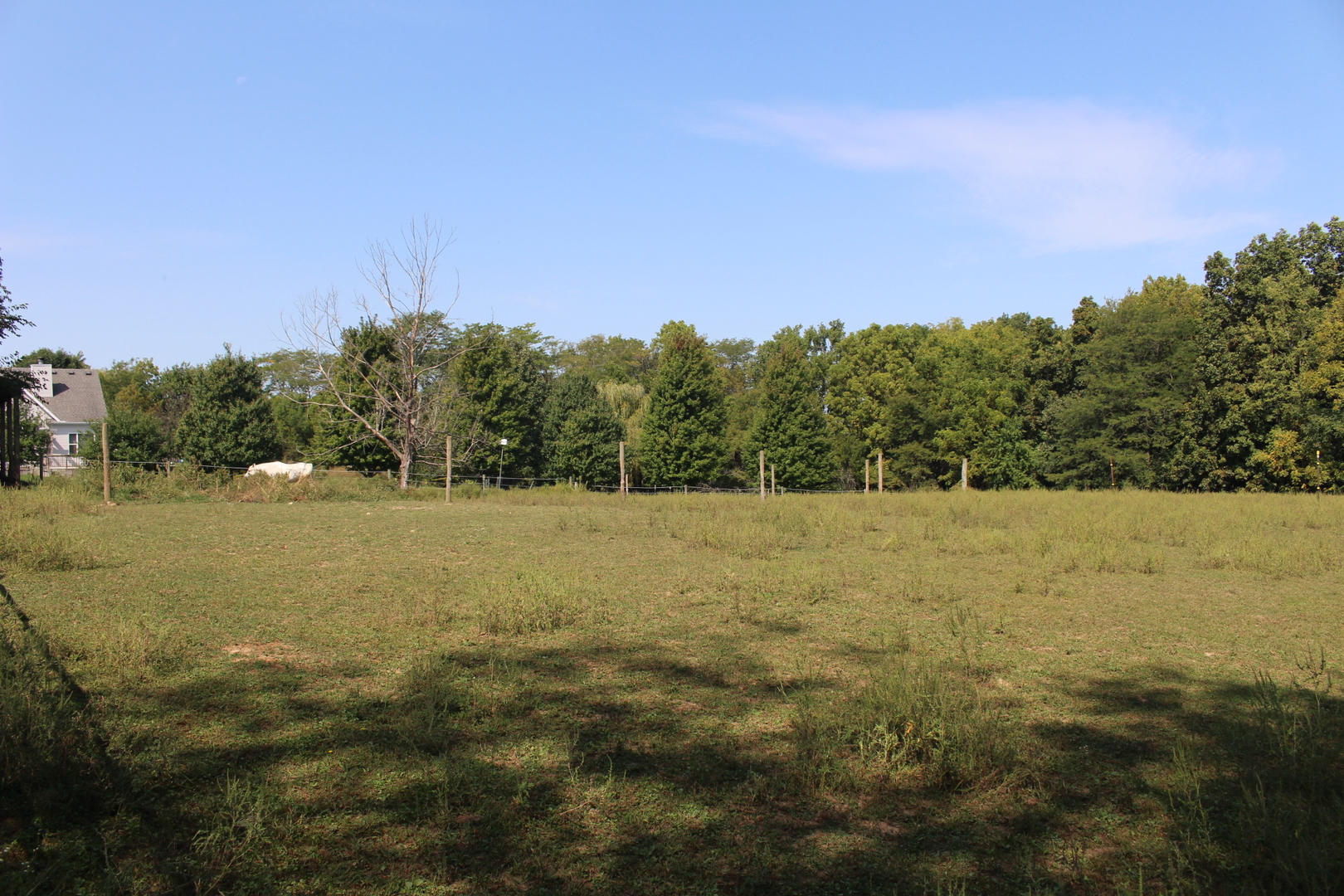 13382 Hickory Grove Road Waynesville, IL 61778 - Photo 11 of 51 a view of a field with trees in the background