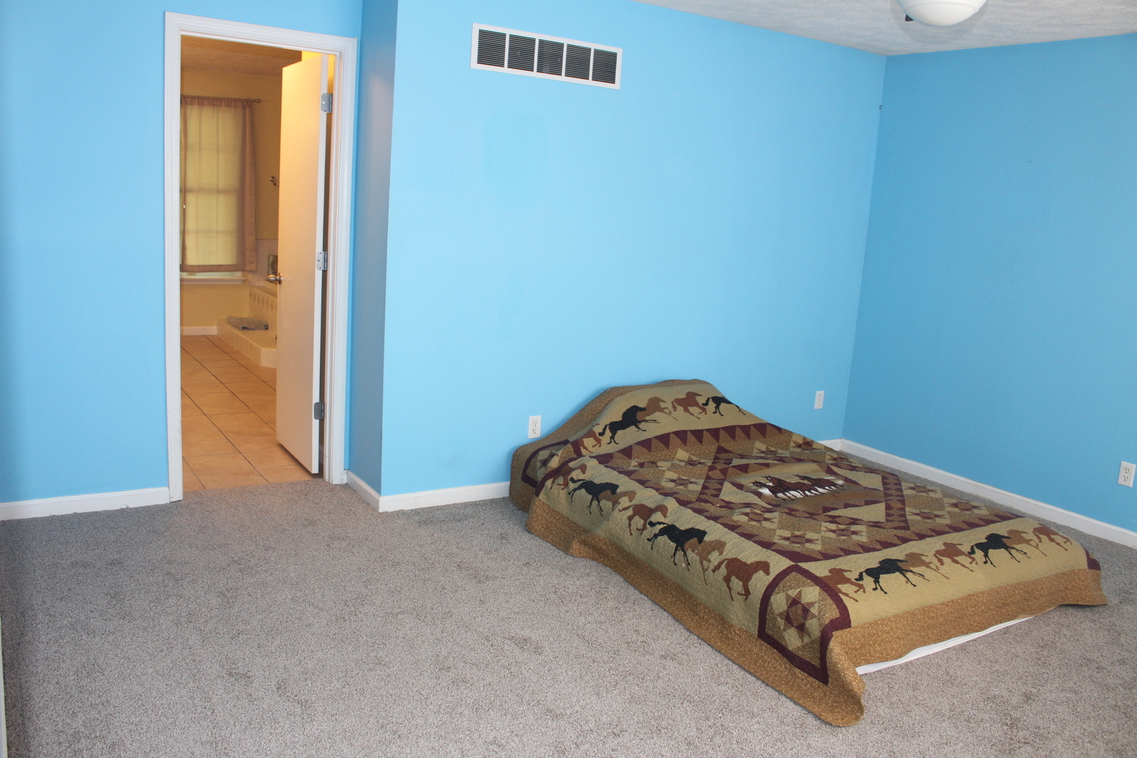 13382 Hickory Grove Road Waynesville, IL 61778 - Photo 25 of 51 a view of bedroom