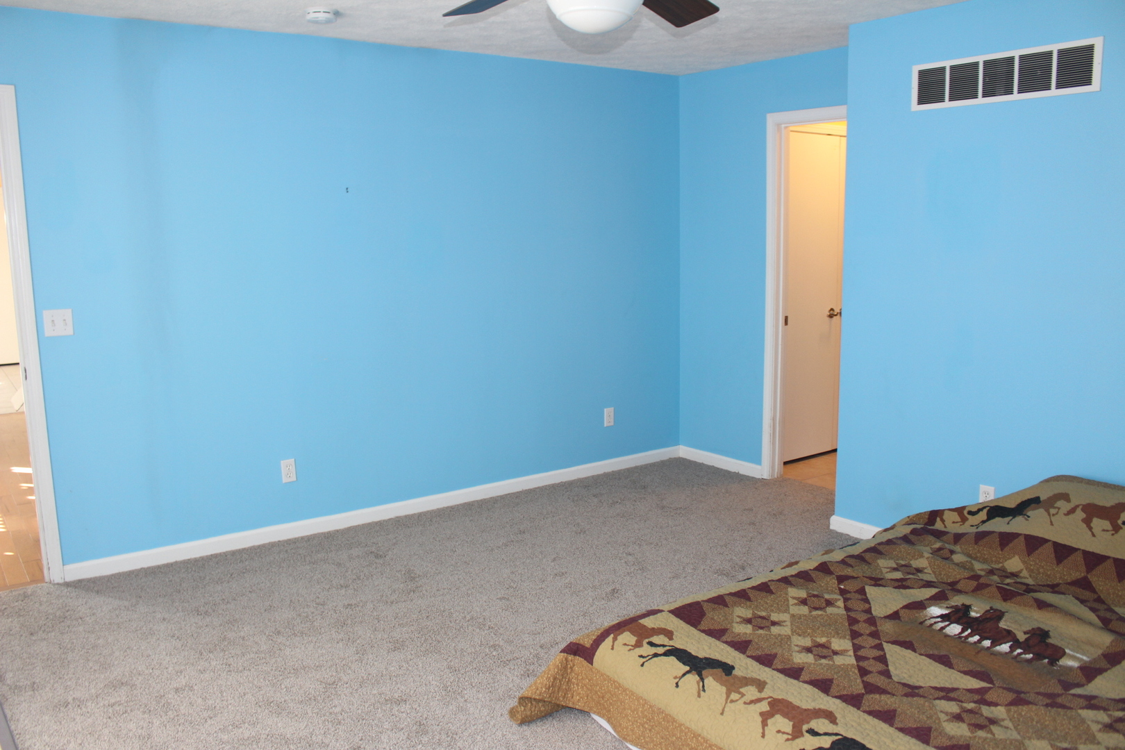 13382 Hickory Grove Road Waynesville, IL 61778 - Photo 27 of 51 a bedroom with a bed and a cabinets