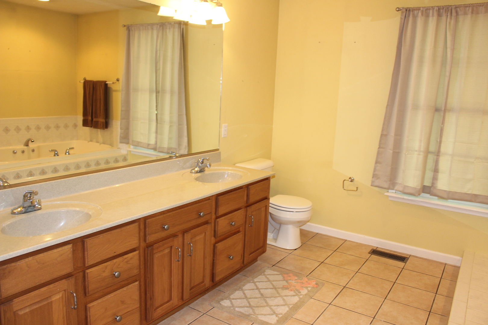 13382 Hickory Grove Road Waynesville, IL 61778 - Photo 30 of 51 a bathroom with a double vanity sink toilet and a mirror