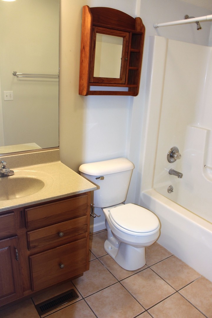 13382 Hickory Grove Road Waynesville, IL 61778 - Photo 34 of 51 a bathroom with a toilet a sink and mirror
