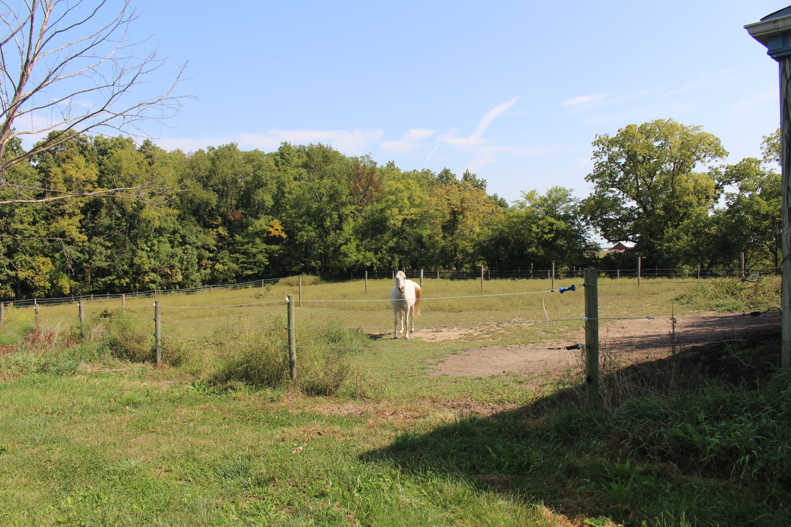 13382 Hickory Grove Road Waynesville, IL 61778 - Photo 43 of 51 a view of a park