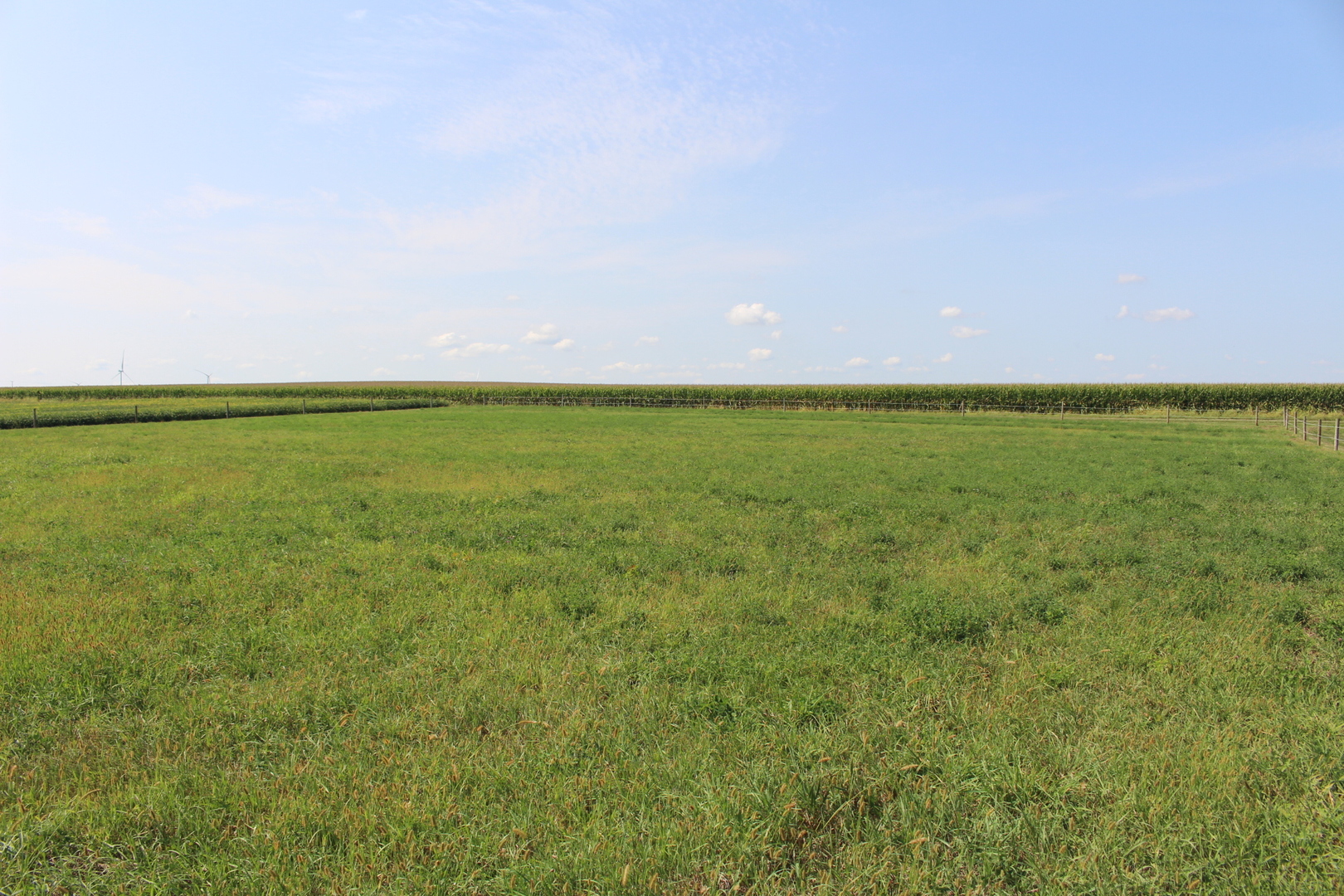 13382 Hickory Grove Road Waynesville, IL 61778 - Photo 46 of 51 a view of an ocean beach