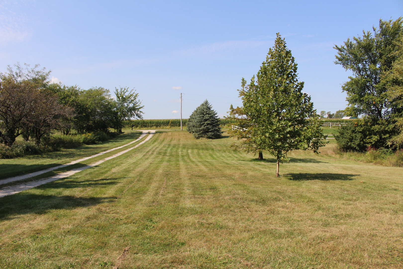 13382 Hickory Grove Road Waynesville, IL 61778 - Photo 47 of 51 a view of yard with swimming pool and trees