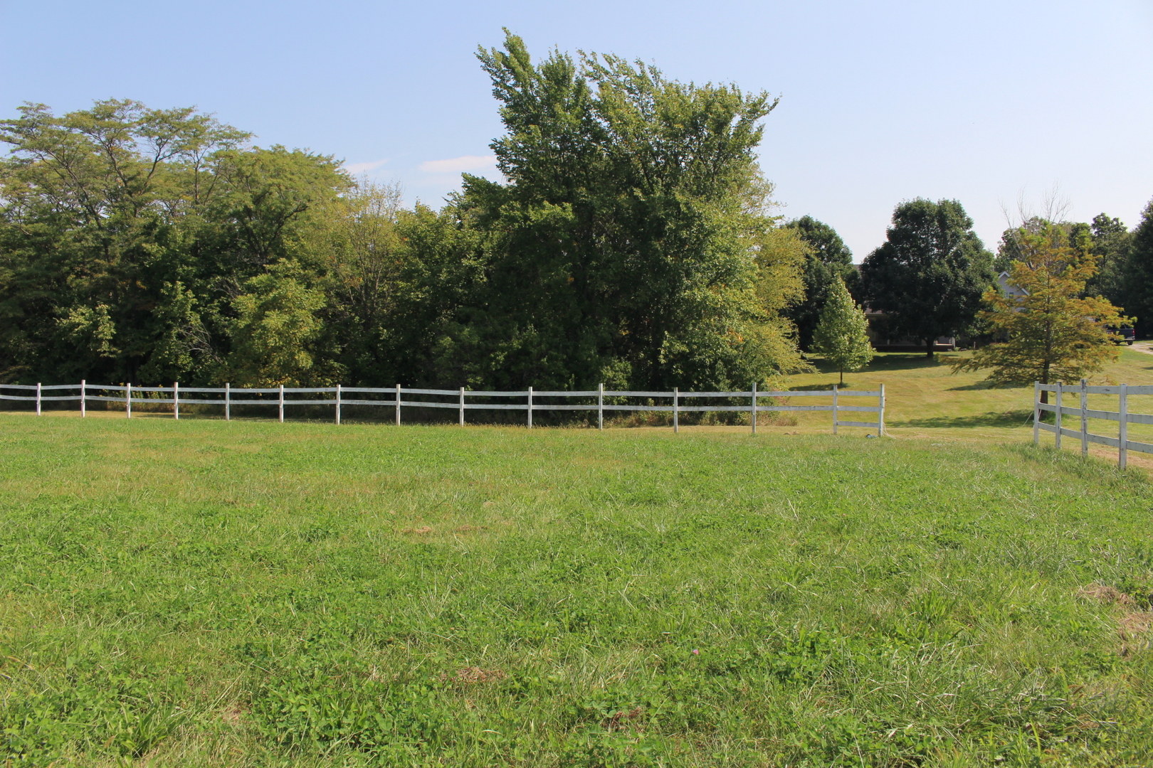 13382 Hickory Grove Road Waynesville, IL 61778 - Photo 50 of 51 a view of a yard with a large trees