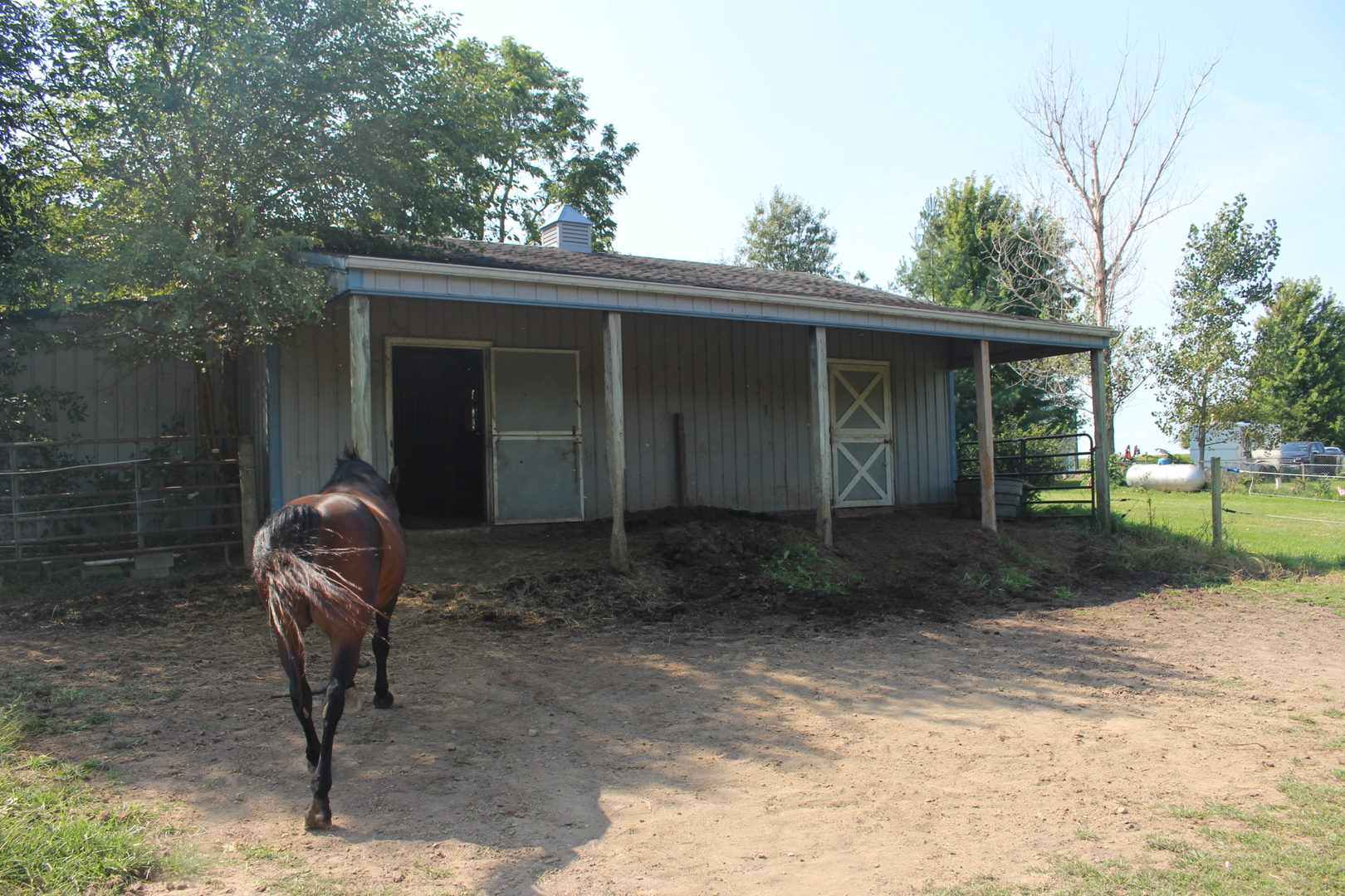 13382 Hickory Grove Road Waynesville, IL 61778 - Photo 5 of 51 a view of backyard with outdoor space and trees