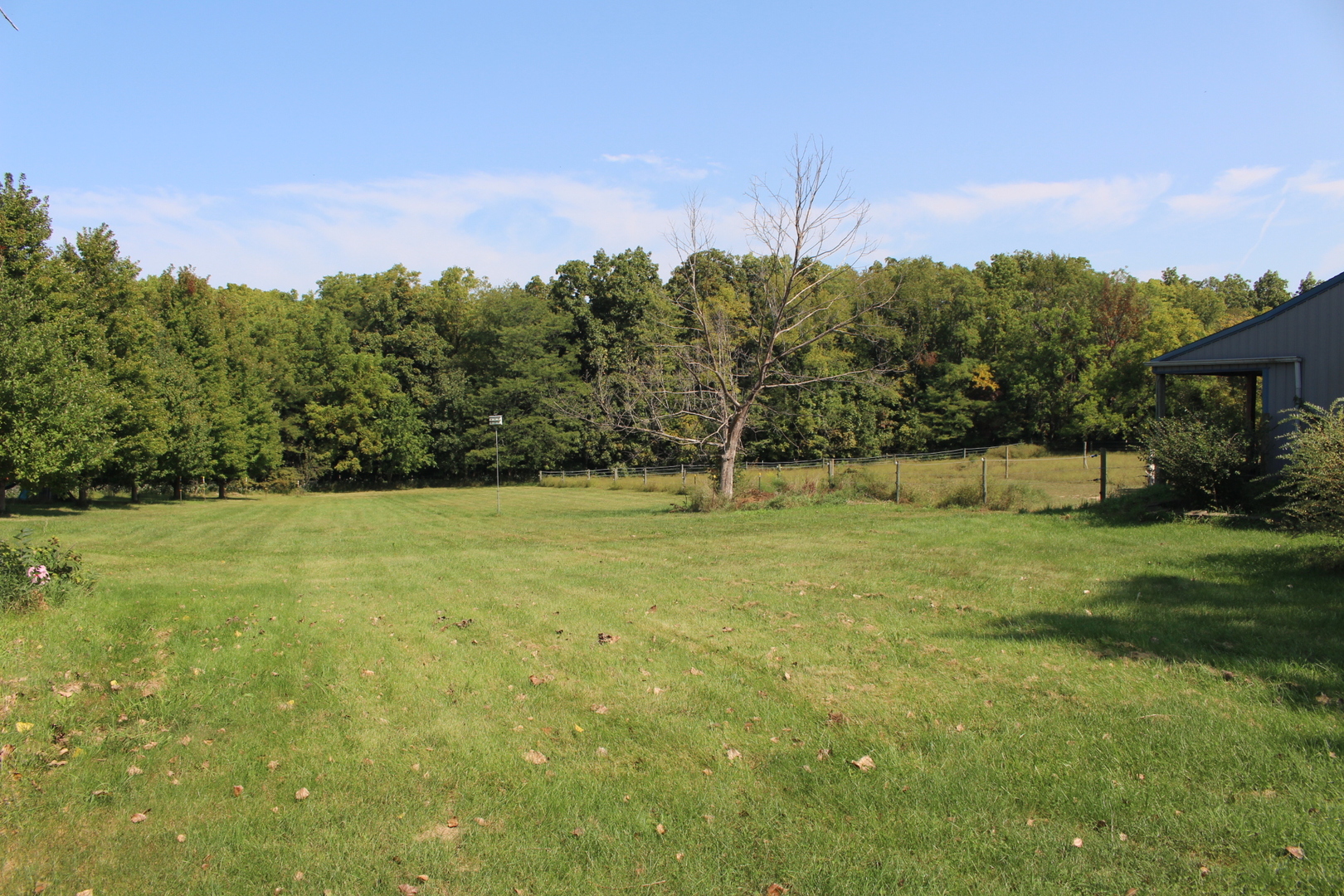 13382 Hickory Grove Road Waynesville, IL 61778 - Photo 9 of 51 a view of a green field