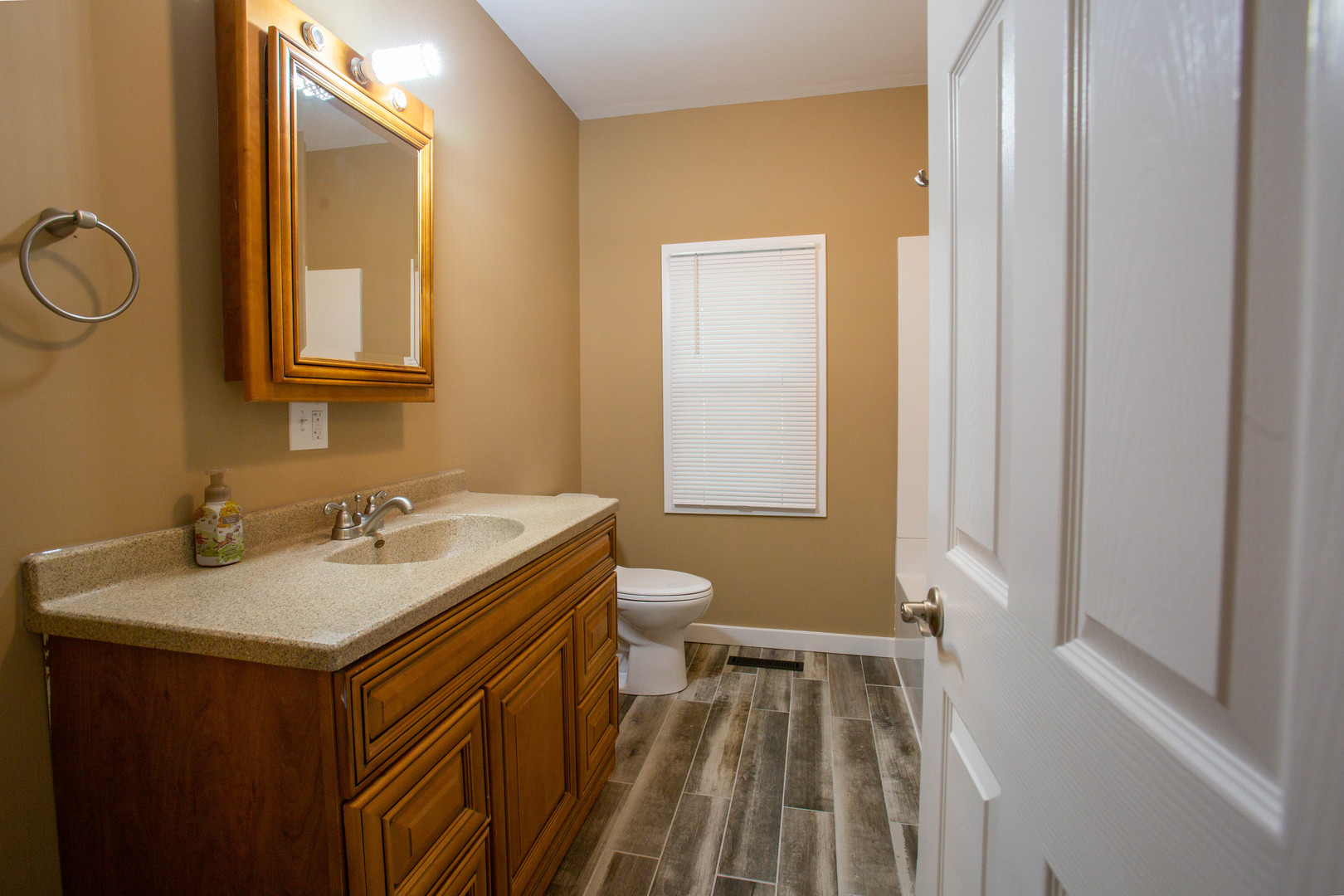 117 Clark Street Chenoa, IL 61726 - Photo 11 of 23 Gallery Image 11