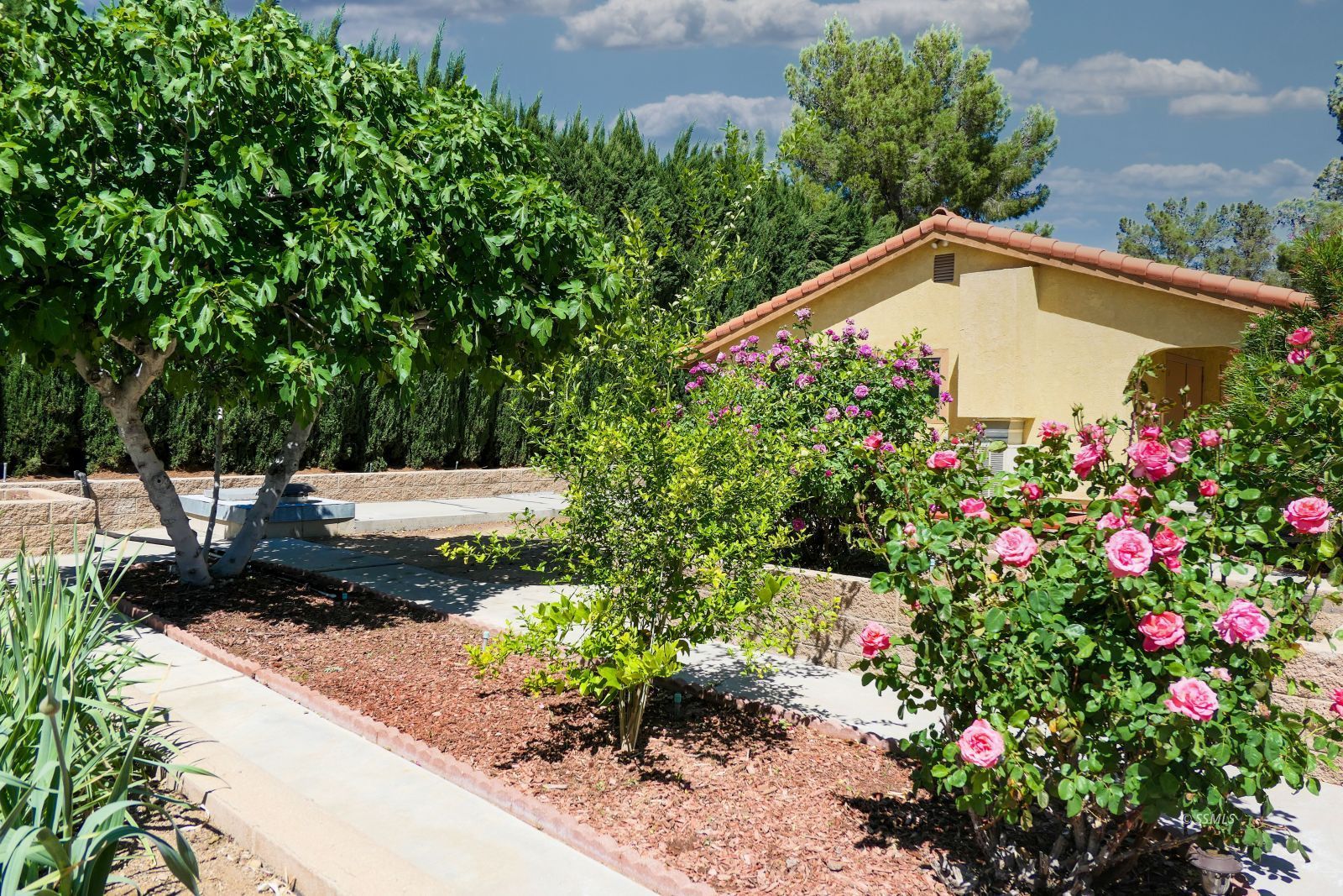 1051 North Inyo Street Ridgecrest, CA 93555 - Photo 44 of 50