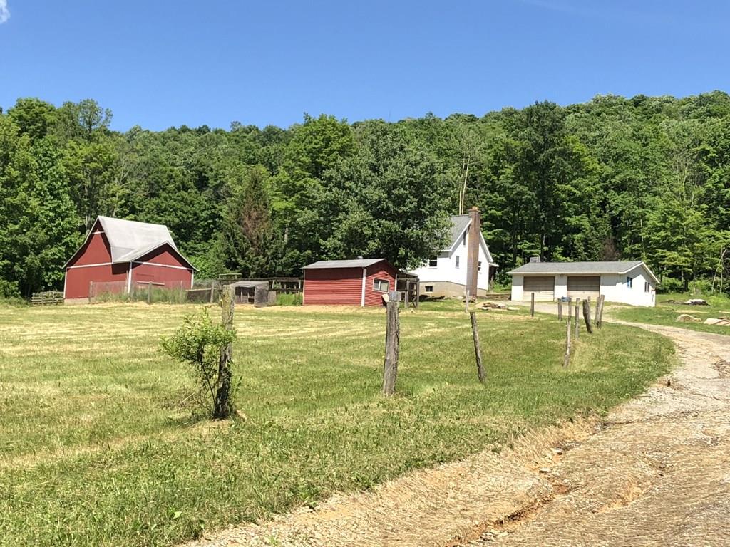 1417 Reynolds Road New Florence, PA 15944 - Photo 10 of 12 Property
