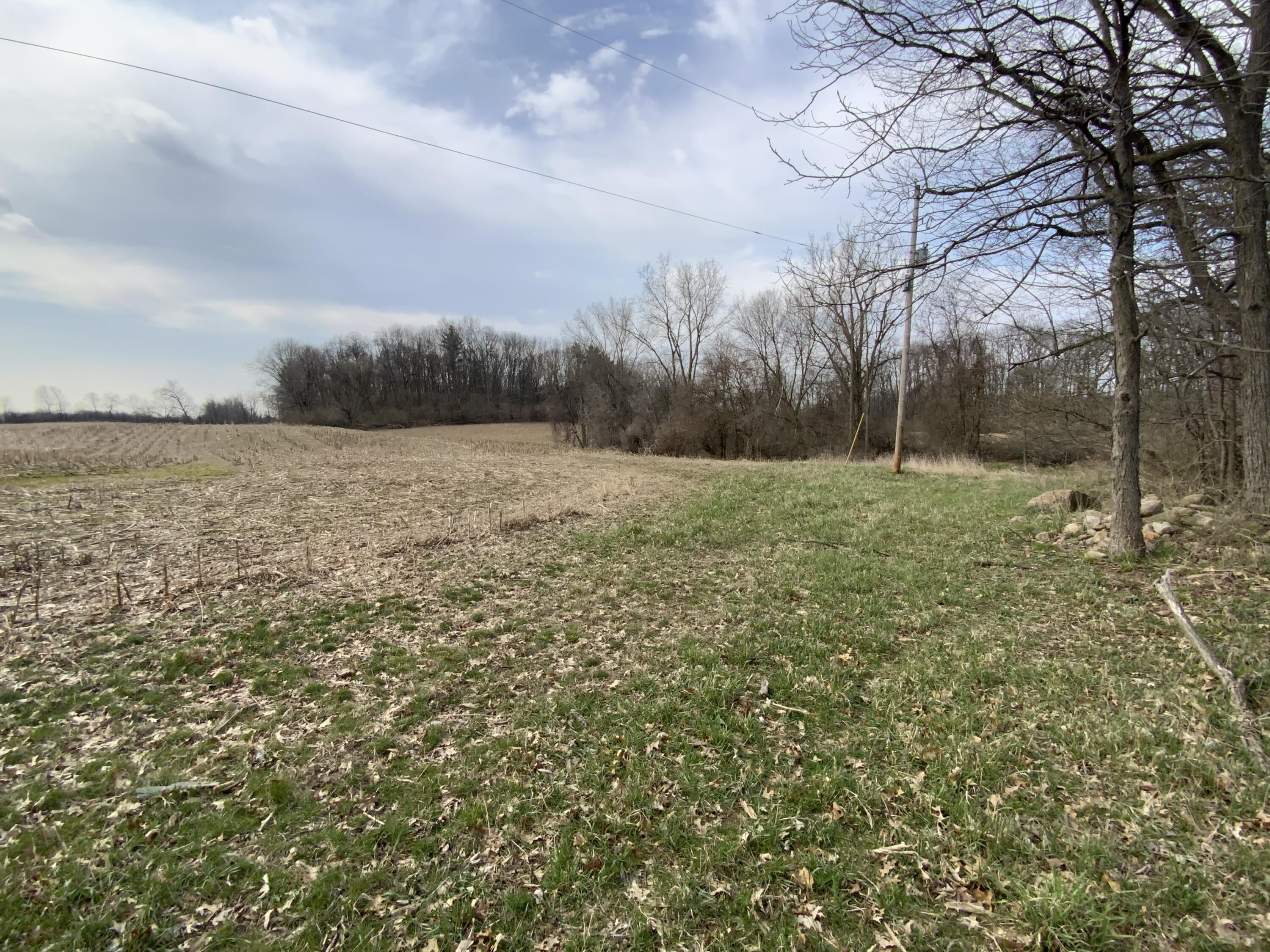 0 Mathews Road Spring Arbor, MI 49283 - Photo 1 of 6 IMG_0961