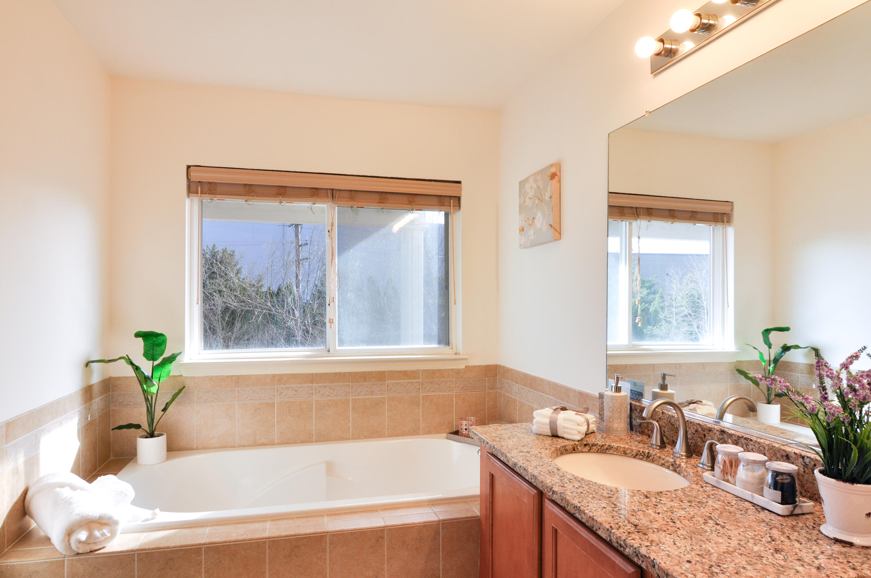 3170 Asher Road Ann Arbor, MI 48104 - Photo 24 of 40 _DSC0160