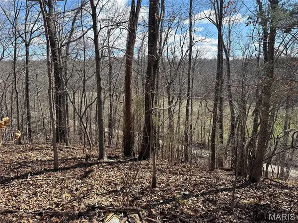 $25,000 | 1 Madison 248, Fredericktown, MO 63645