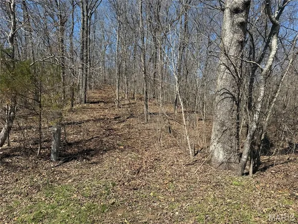 $25,000 | 1 Madison 248, Fredericktown, MO 63645