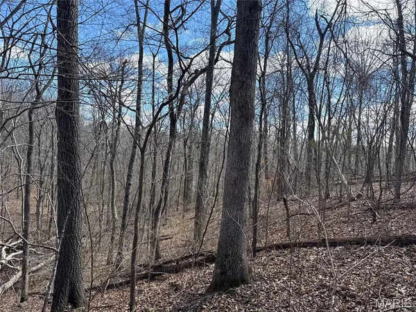 $25,000 | 1 Madison 248, Fredericktown, MO 63645