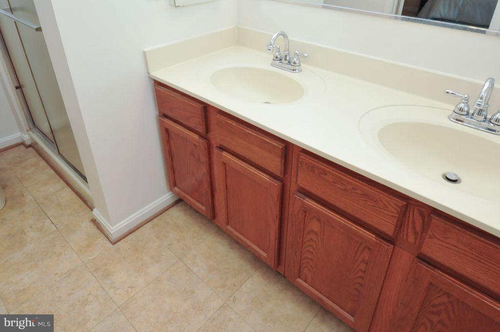22011 Box Car Square Sterling, VA 20166 - Photo 15 of 23 Double sink in master bath