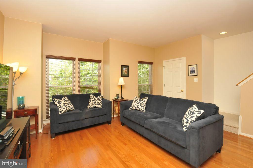 22011 Box Car Square Sterling, VA 20166 - Photo 10 of 23 Living Room