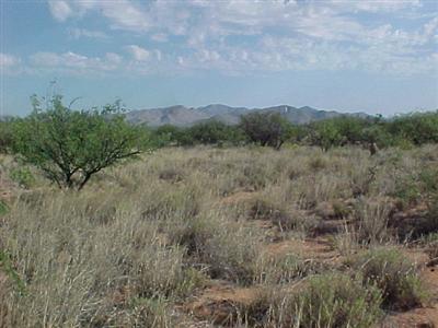 159 East Diamondback Road St. David, AZ 85630 - Photo 4 of 4