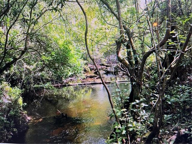 0 Off Stafford (hwy 1081) Road Covington, LA 70435 - Photo 7 of 10