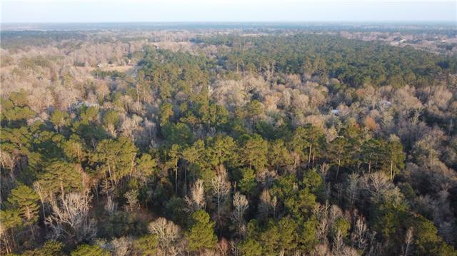 0 Off Stafford (hwy 1081) Road Covington, LA 70435 - Photo 10 of 10