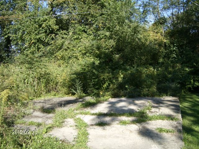 2106 Arthur Avenue Lockport, IL 60441 - Photo 11 of 12 a view of forest