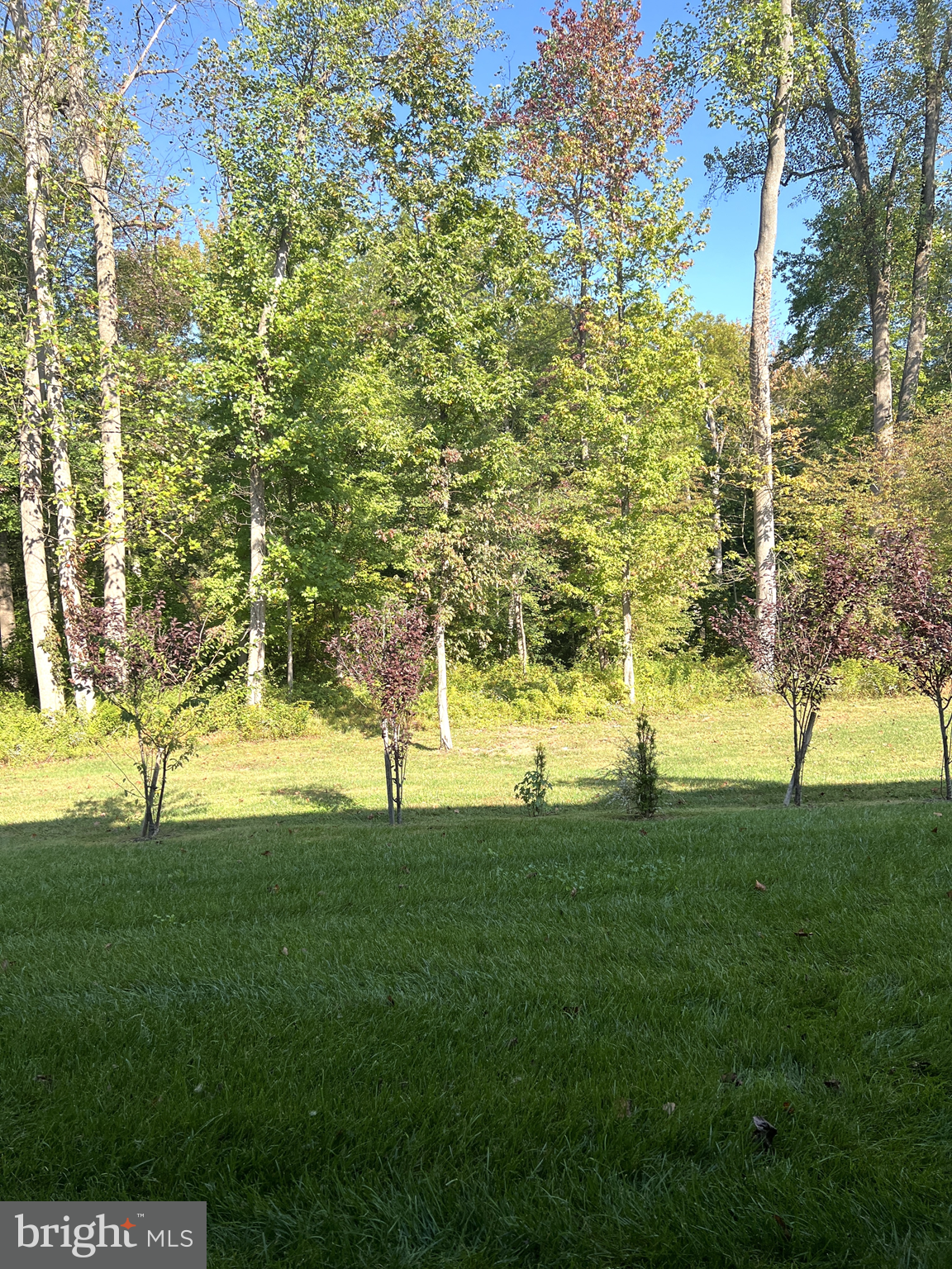 2060 Rivers Drive Newark, DE 19702 - Photo 25 of 25 a view of grassy field with trees