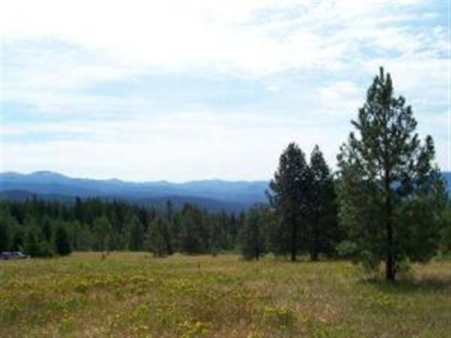 Lot M Old Dominion Road Colville, WA 99114 - Photo 4 of 4