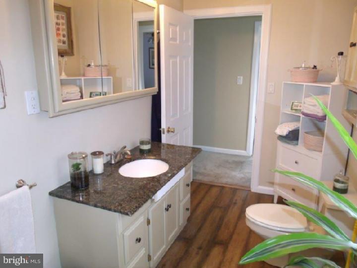 797 Brownsville Road Reading, PA 19608 - Photo 22 of 25 Bathroom