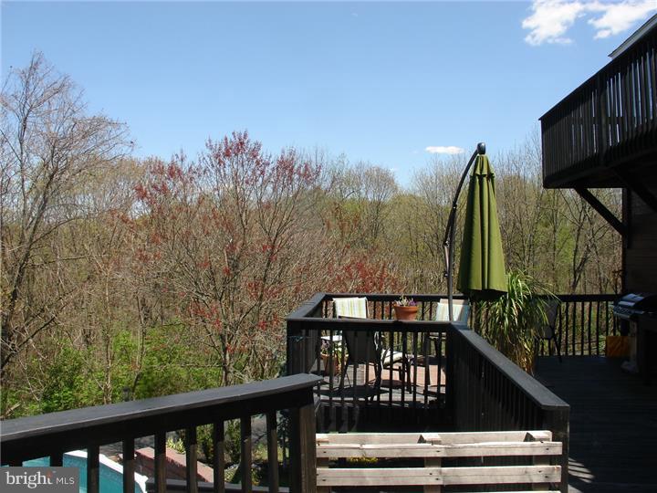 797 Brownsville Road Reading, PA 19608 - Photo 24 of 25 View in Back