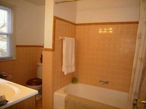 504 Maple Ridge Ann Arbor, MI 48103 - Photo 7 of 8 Photo 7