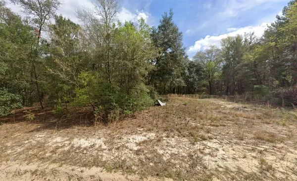 a view of a yard with a tree