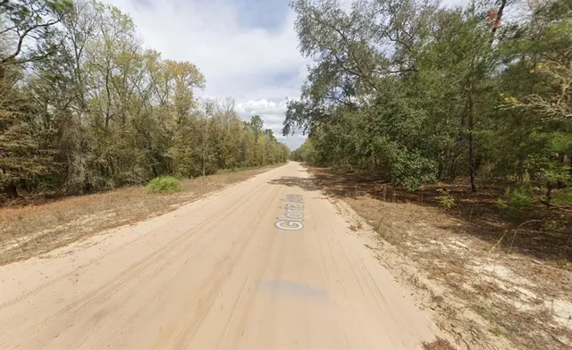 a view of a dirt road with trees in the background