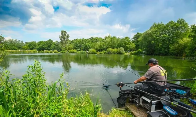 a view of a lake with a yard and outdoor seating