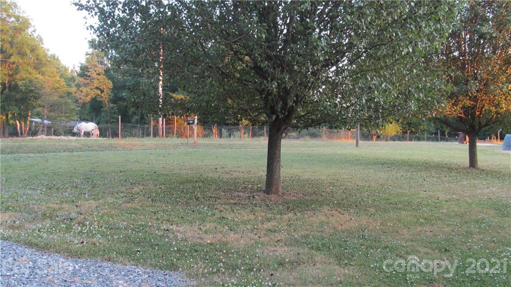 2896 Elbow Road Newton, NC 28658 - Photo 23 of 25 a view of a trees in a yard