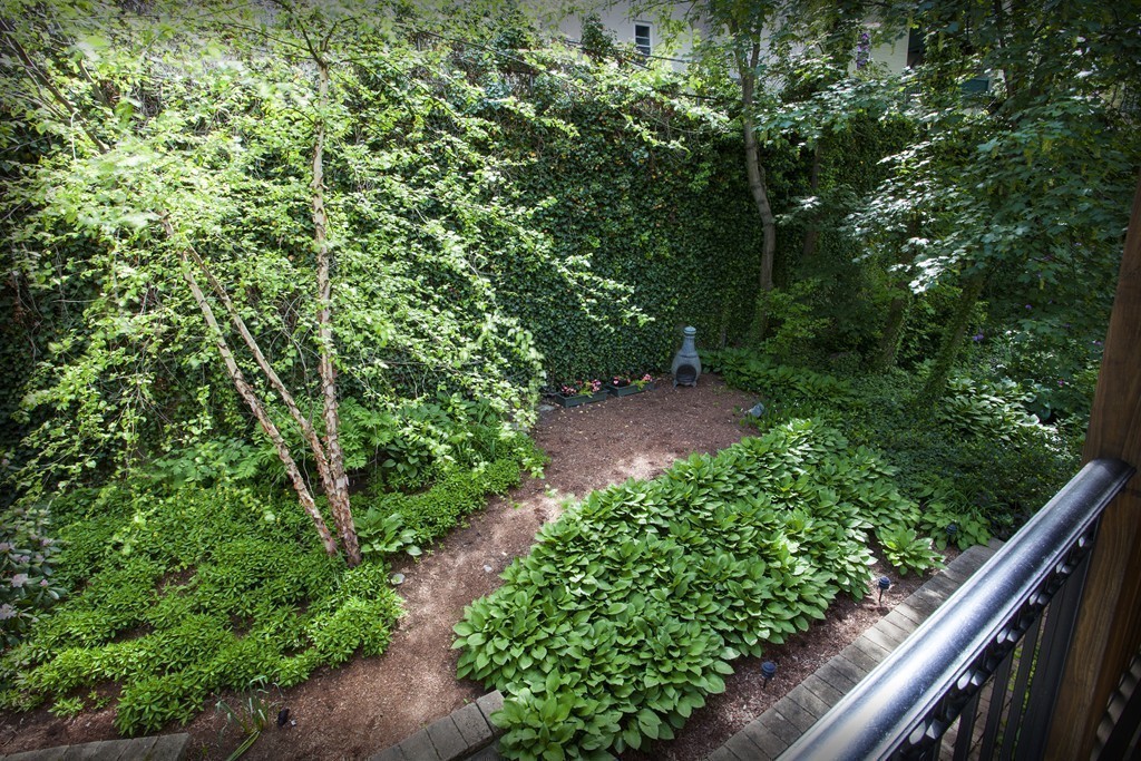 69 University Road, Unit 2 Brookline, MA 02445 - Photo 13 of 29 a view of a garden with plants
