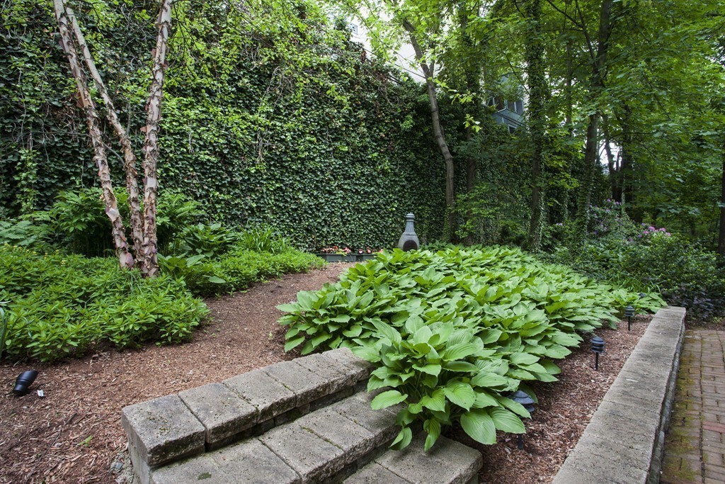 69 University Road, Unit 2 Brookline, MA 02445 - Photo 6 of 29 a view of a garden with flowers