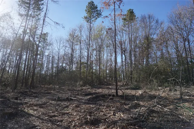 a view of outdoor space with lots of trees